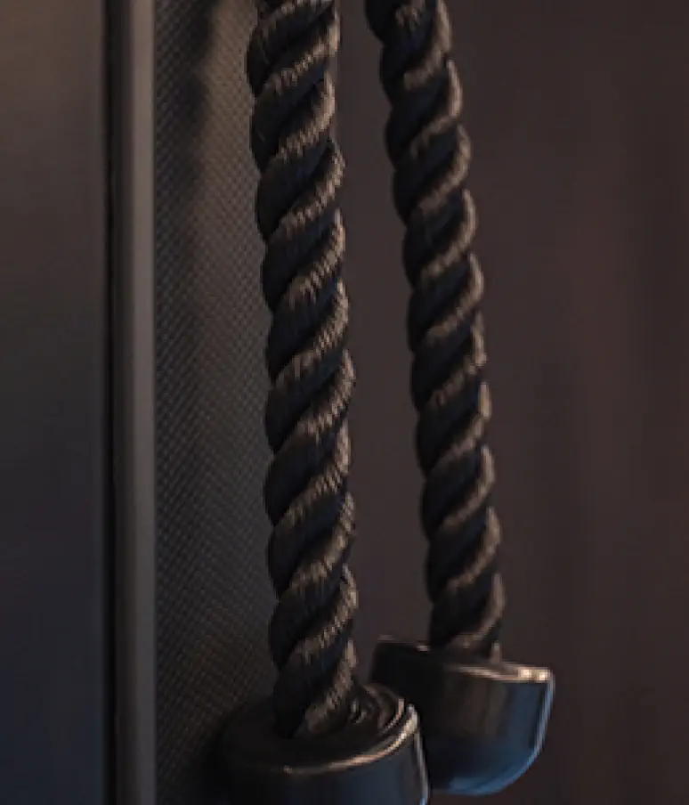 Close-up of two black twisted rope handles with rubber ends, attached to a vertical surface in the dimly lit interior of Almanac Palais, Vienna.