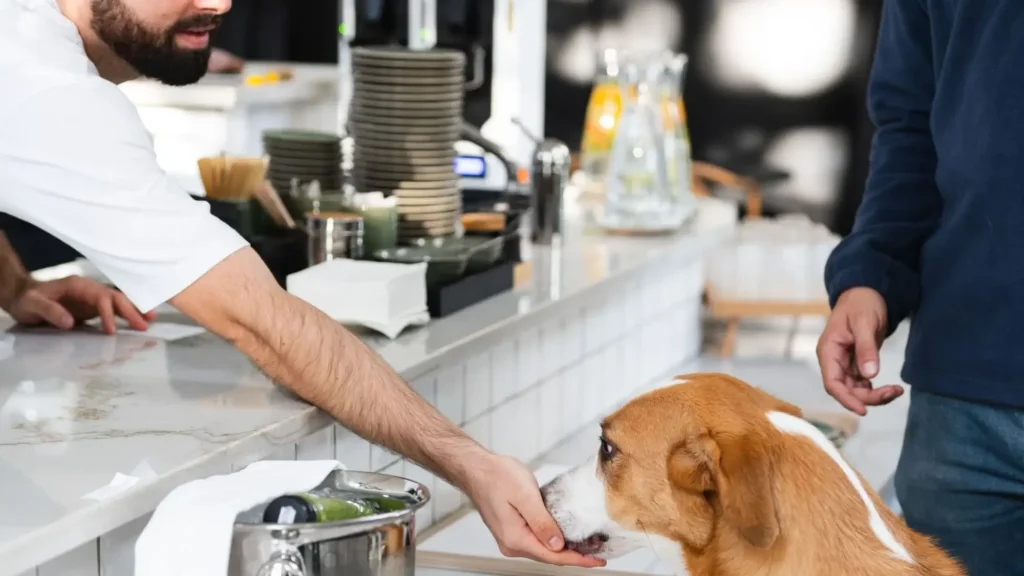 elias coffee shop almanac palais vienna austria wide