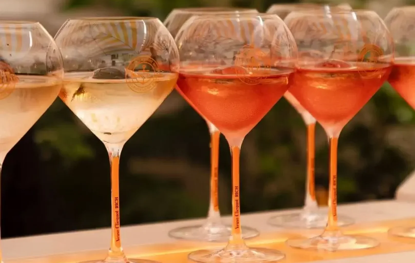 A row of six wine glasses, some filled with white wine and others with rosé, lined up on a glowing surface in Prague, set against a blurred green background that hints at the vibrant energy of May.