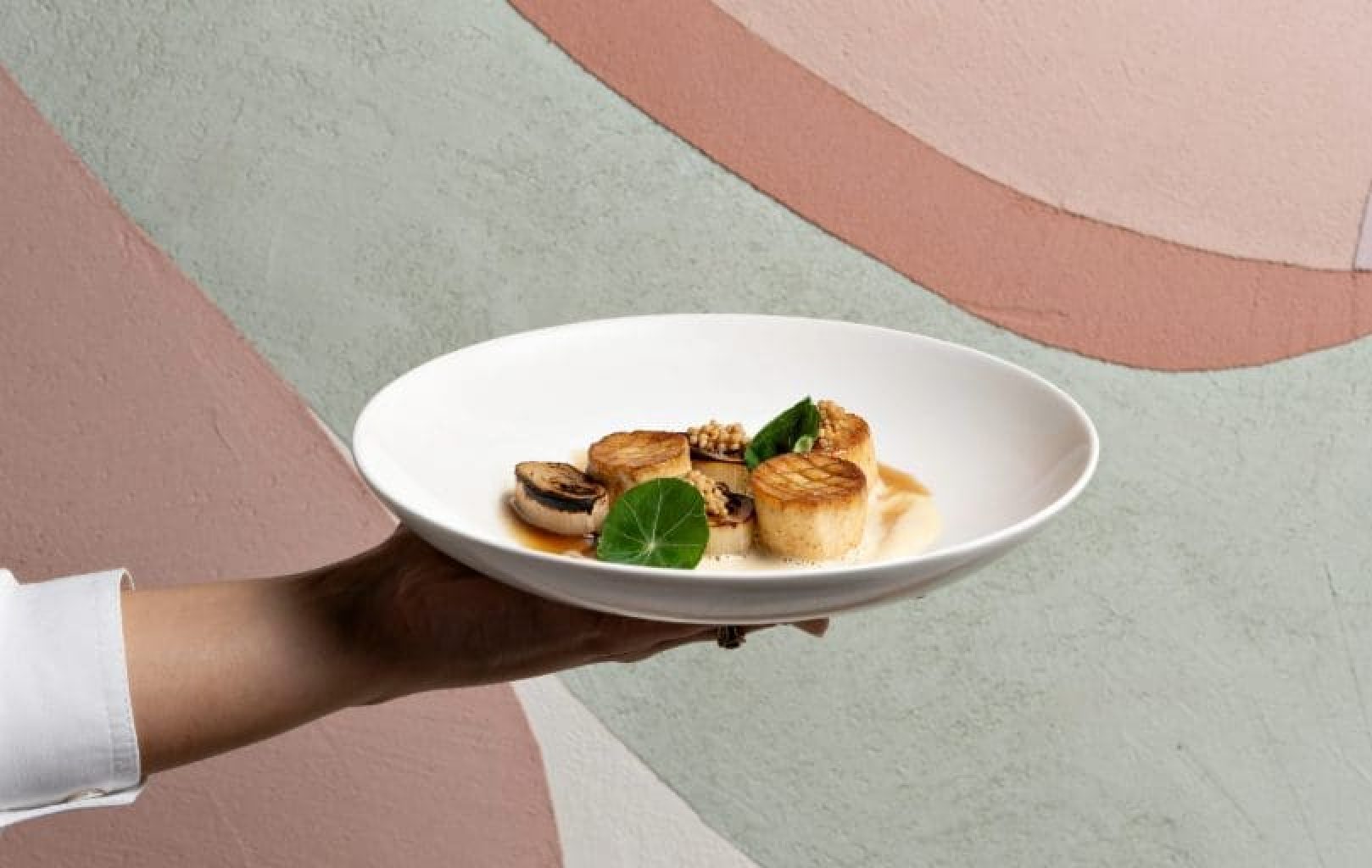 Eine Hand hält einen weißen Teller mit gebratenen Jakobsmuscheln, garniert mit Sauce, Grünzeug und gegrilltem Gemüse vor einer pastellfarbenen Wand.