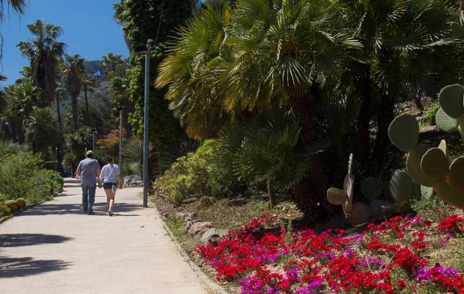 Two people walk along a paved path in the Mossèn Costa Llobera Garden, bordered by palm trees, cacti, and vibrant red and purple flowers under a clear blue sky.