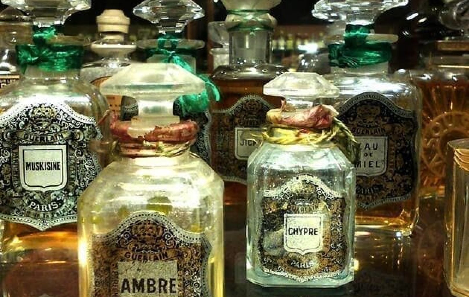 Varios frascos de perfume vintage ornamentados con etiquetas decorativas y tapones de cristal se exponen sobre una superficie reflectante, que recuerda a las elegantes exposiciones de fragancias de un museo del perfume.
